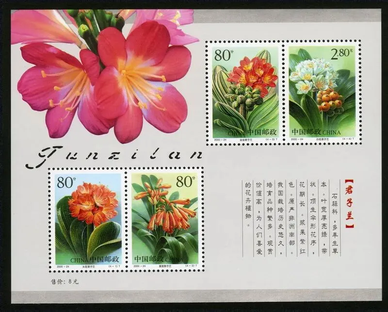 集邮市场低迷,如何在困境中找到成长的机会?