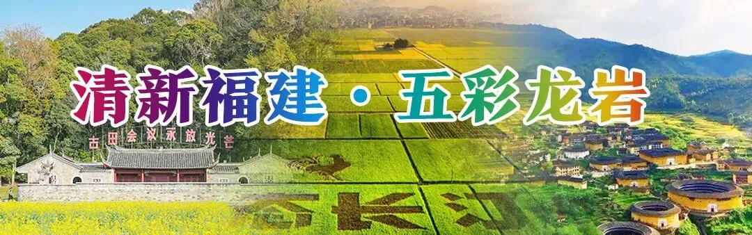 老字号焕新走向大市场!广龙对口合作助推龙岩永定中医药产业“破圈”升级
