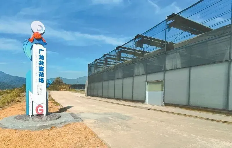 老字号焕新走向大市场!广龙对口合作助推龙岩永定中医药产业“破圈”升级