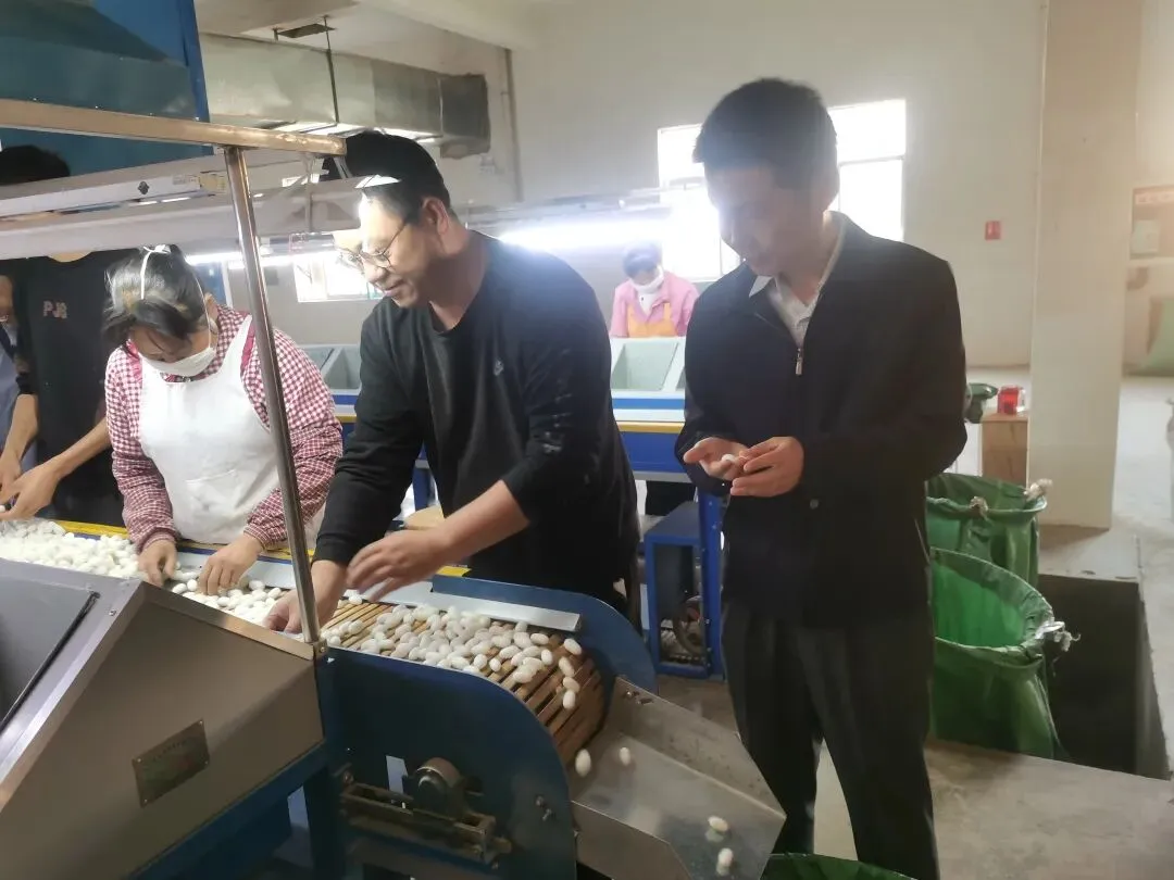 树牢正确政绩观,服务民生产业发展——州市场监管局开展彝绣和茧丝产业质量提升培训指导服务