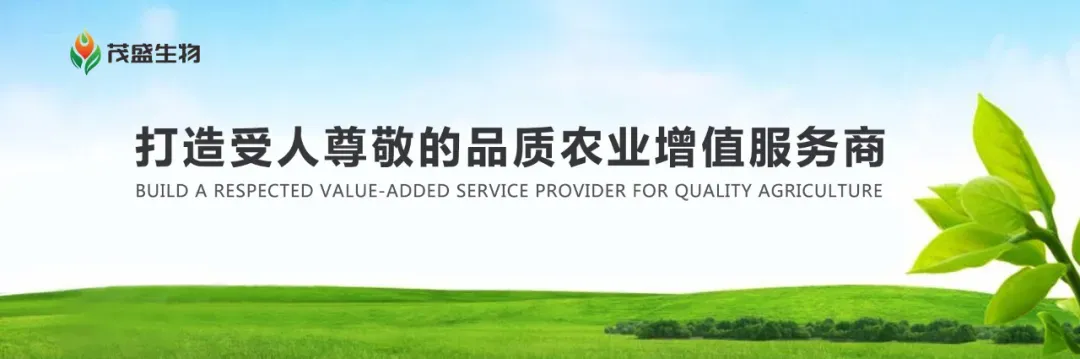 茂盛生物特邀华一世纪何祥老师深度解析营销基础逻辑