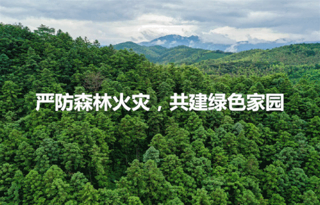 江城区市场监管局:整治与宣传双轮驱动 规范农贸市场管理秩序