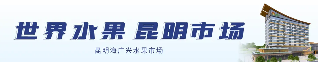 盛大启幕 焕新启航 | 昆明海广兴水果市场开业典礼正式官宣,系列行业活动同步启幕!