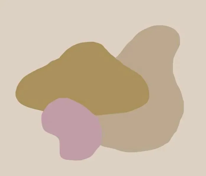 中高端纯棉服饰品牌内容营销策略实训方案