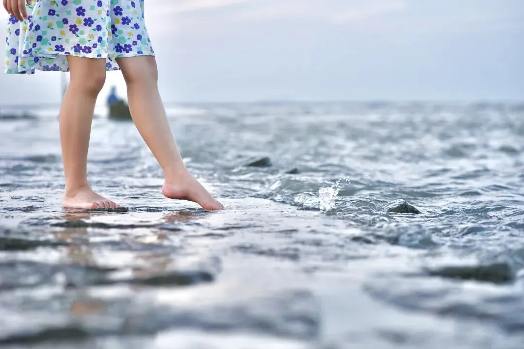 中高端纯棉服饰品牌内容营销策略实训方案