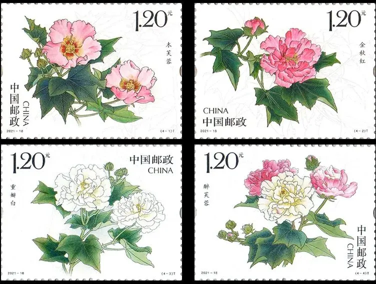 设计不符期待,发行方策略失当,集邮市场逐步萎缩