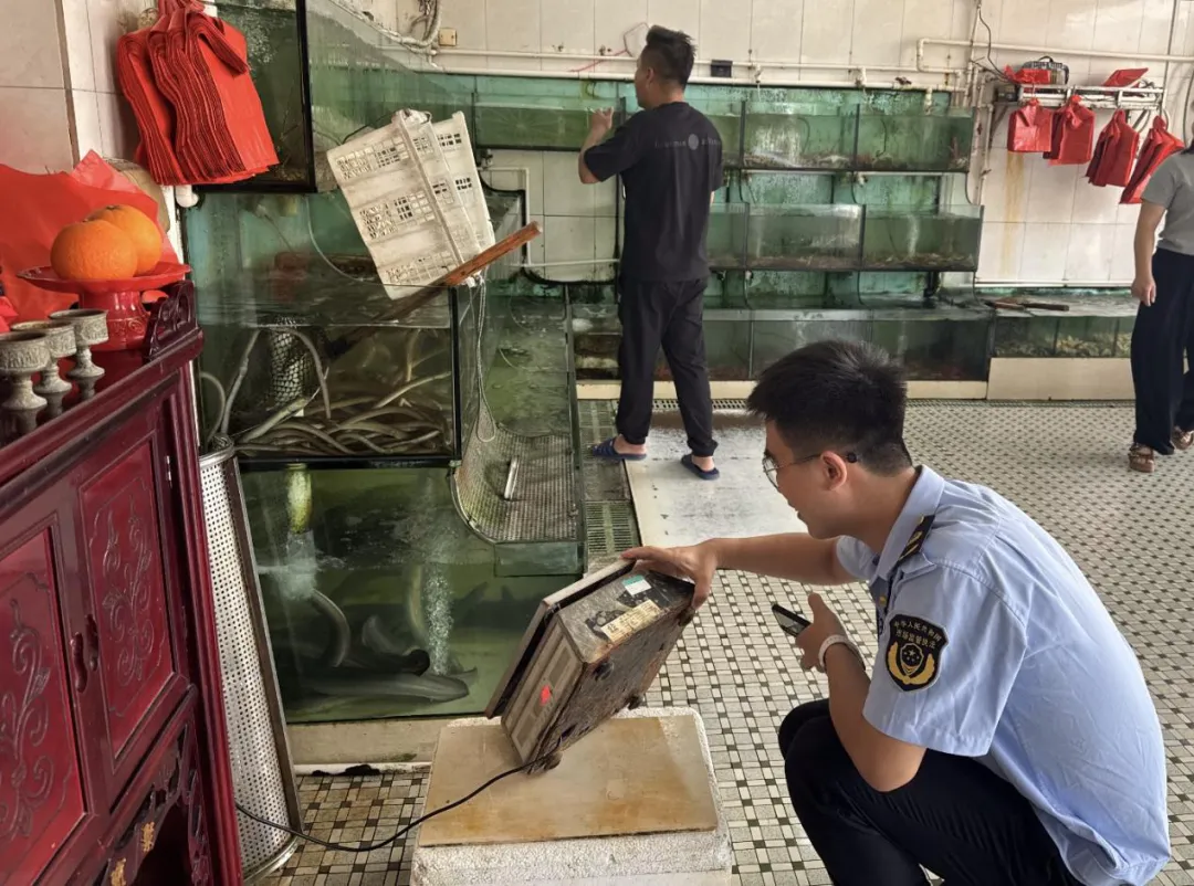 立案7宗!汕尾市市场监管局开展节前市场价格检查…