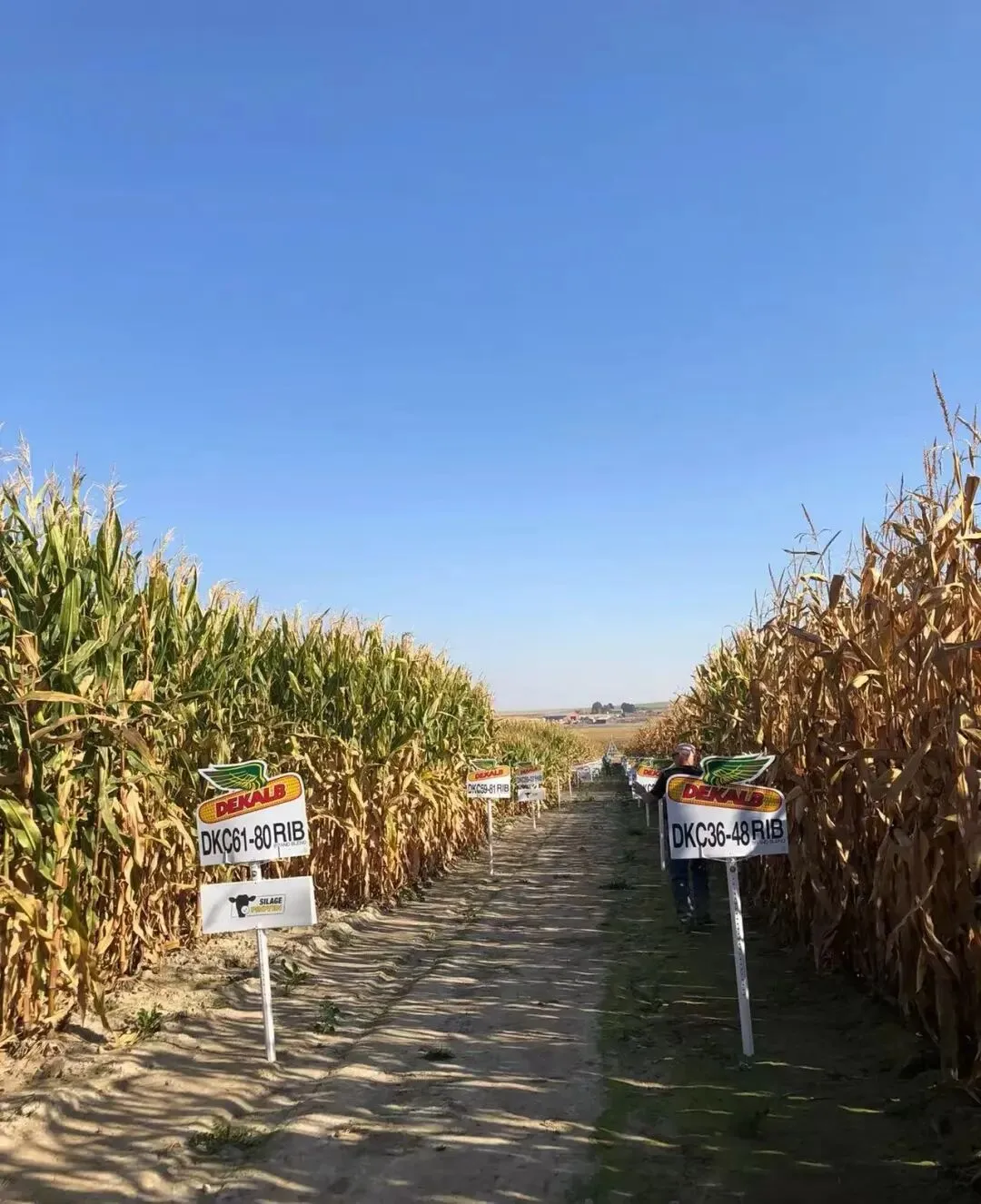 川普发疯,欧美市场变天!3000多的美国烈酒「波本威士忌」,今天100多拿下!