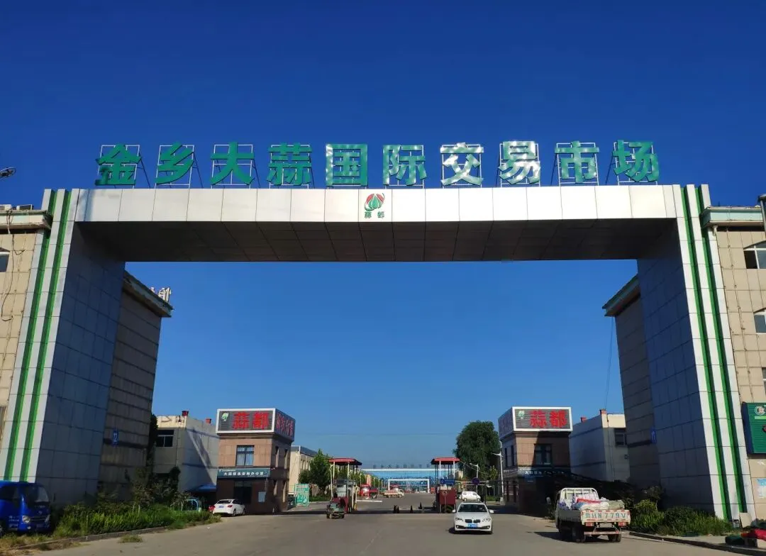 2026年4月19日金乡大蒜国际交易市场大蒜、干椒行情