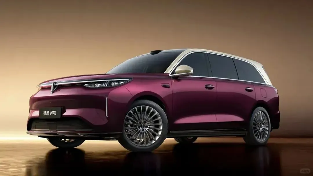 魏建军开骂魏牌营销团队等于犯罪4大盲区犯下的错