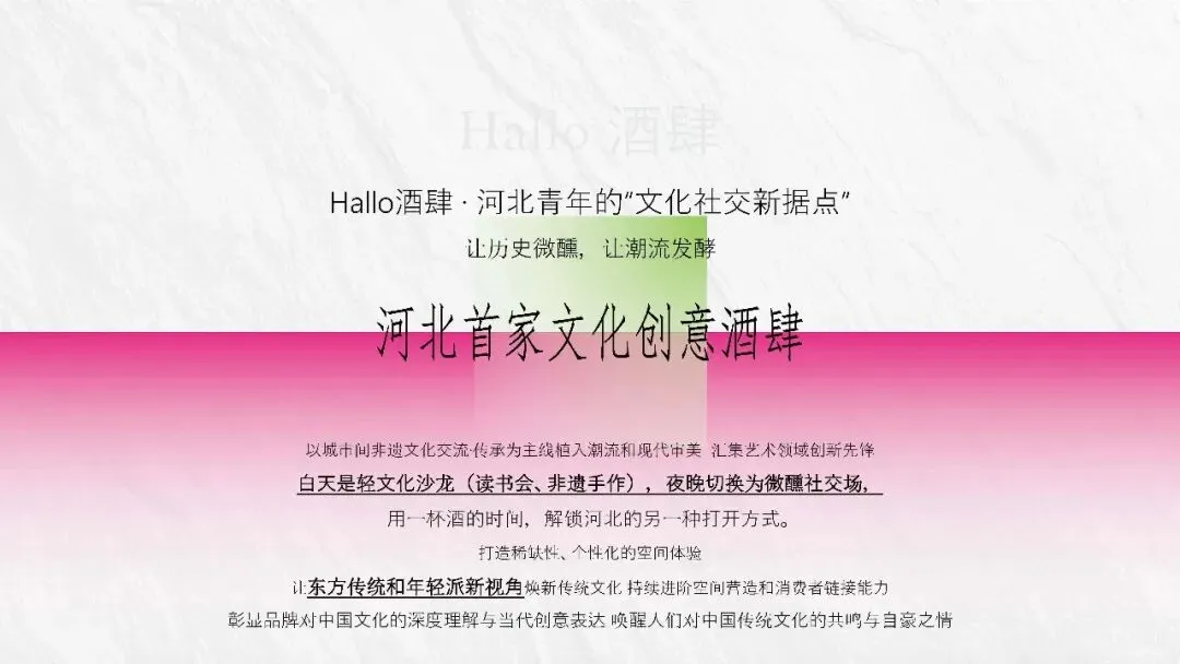 河北Hallo酒肆品牌营销推广方案
