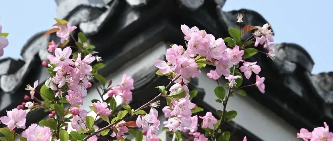 专家解读 | 刘贵文:房地产市场积极信号进一步增强