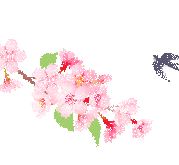 事关“三月三”,柳州市场监管发布消费提示