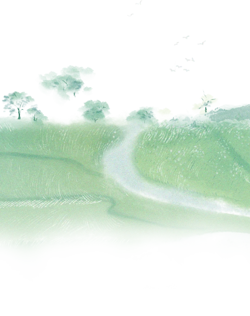 2026 年中药材苗木市场趋势分析:10 大核心品种前景全解析