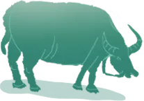 2026 年中药材苗木市场趋势分析:10 大核心品种前景全解析