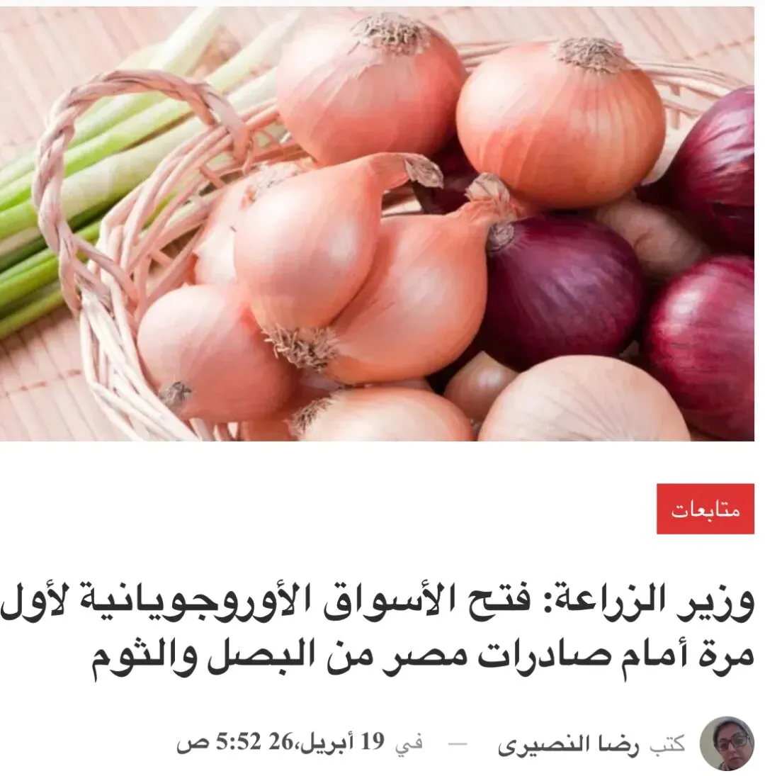埃及:乌拉圭市场首次向埃及出口洋葱和大蒜开放