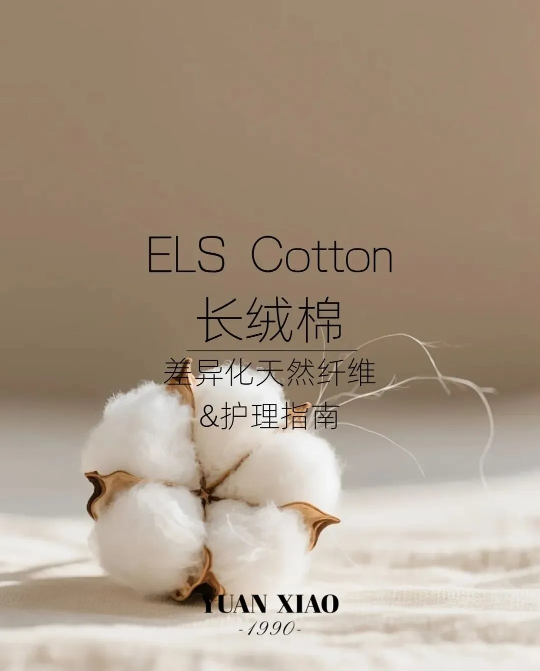 中高端服装品牌内容营销策划方案