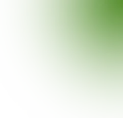 「棉·然自在」春季系列全案营销方案