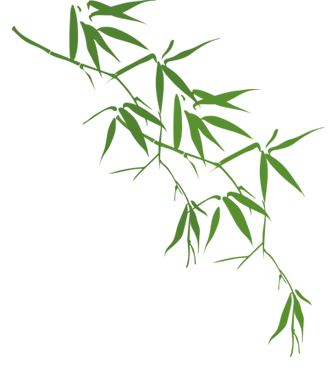 「棉·然自在」春季系列全案营销方案