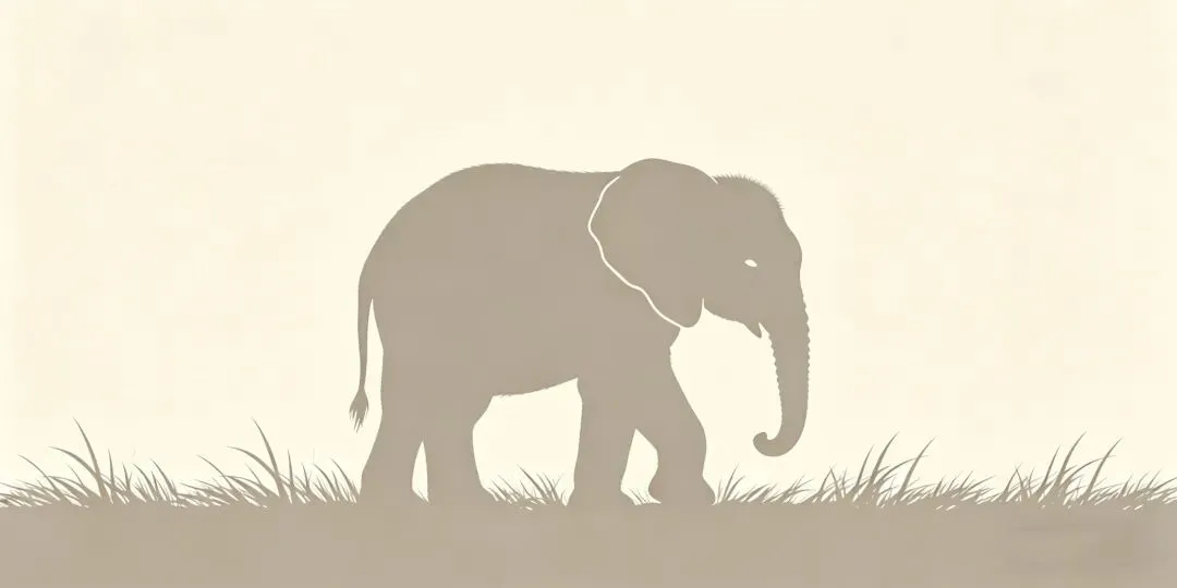 那个初中就敢闯批发市场进货的女孩,后来怎么样了?