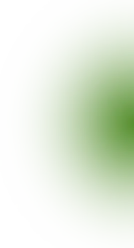 「棉·然自在」春季系列全案营销方案