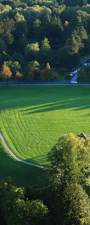 「棉·然自在」春季系列全案营销方案