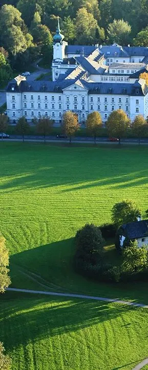 「棉·然自在」春季系列全案营销方案