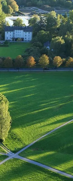 「棉·然自在」春季系列全案营销方案