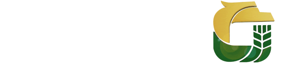 开局奋进正当时丨交易市场筑牢粮食流通 “主平台”