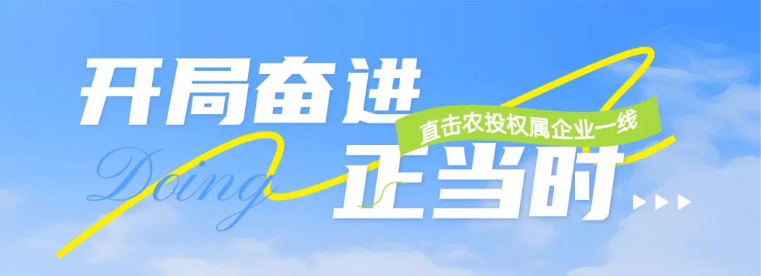 开局奋进正当时丨交易市场筑牢粮食流通 “主平台”