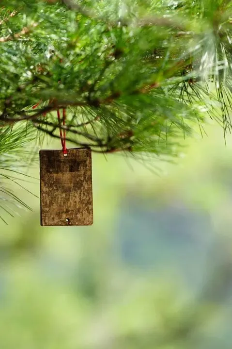 鸿星尔克端午节中高端服装内容营销全案