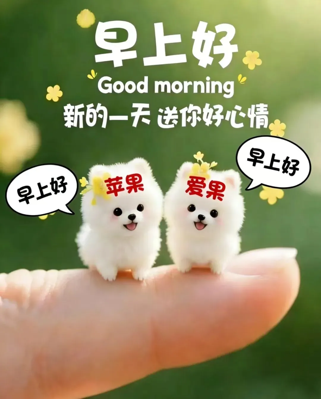 肠道菌群检测:撬动大健康市场的“金钥匙”?这场夕会把干货讲透了