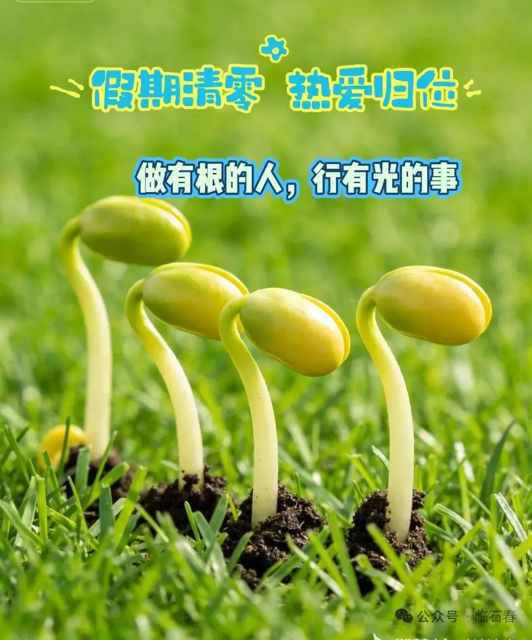 肠道菌群检测:撬动大健康市场的“金钥匙”?这场夕会把干货讲透了