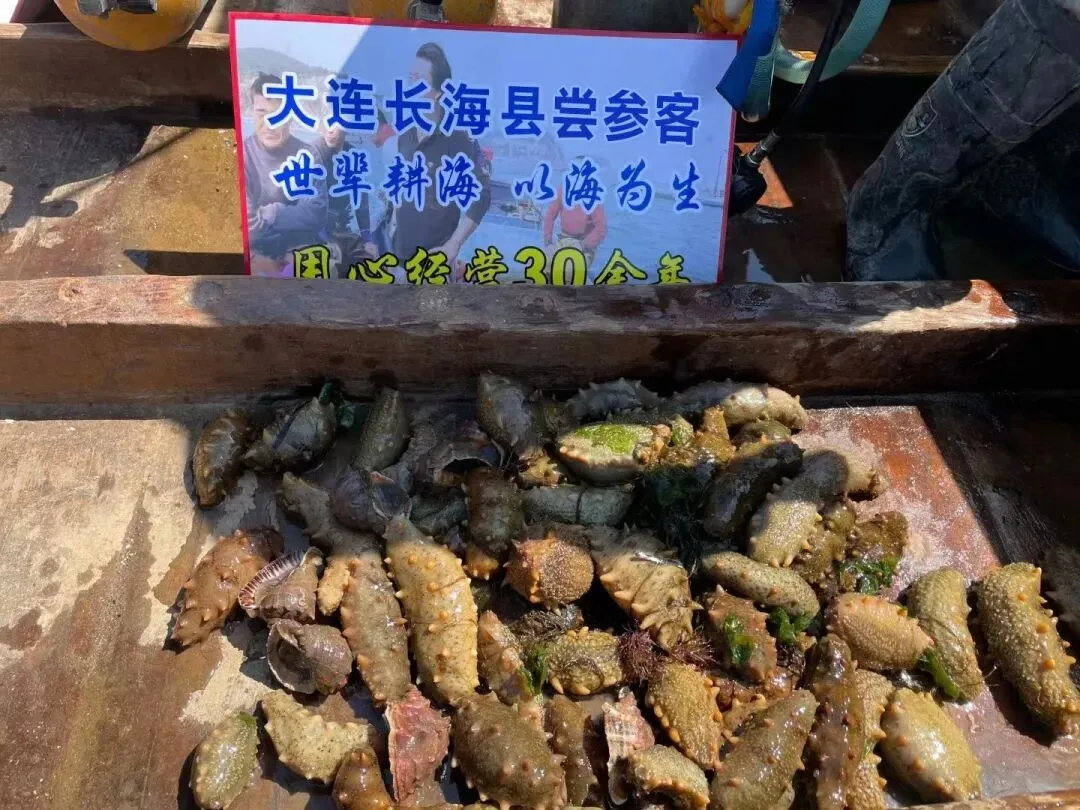 “海参市场”价格被打下来了,这个叫庞佳欣的妹子在全国火了!