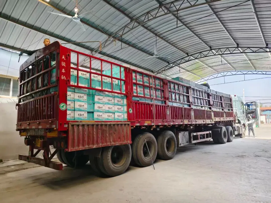 一瓶“软”苏打,三重价值,万亿市场:这才是经销商今年最该抓住的生意!