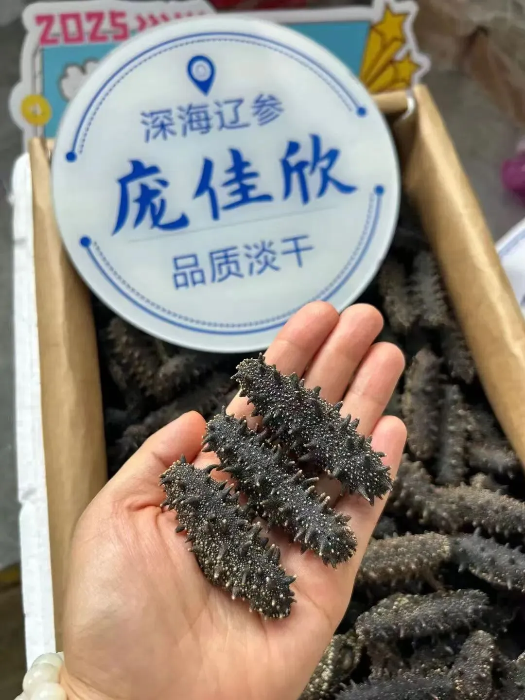 “海参市场”价格被打下来了,这个叫庞佳欣的妹子在全国火了!