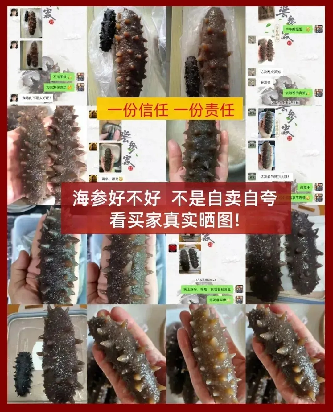 “海参市场”价格被打下来了,这个叫庞佳欣的妹子在全国火了!