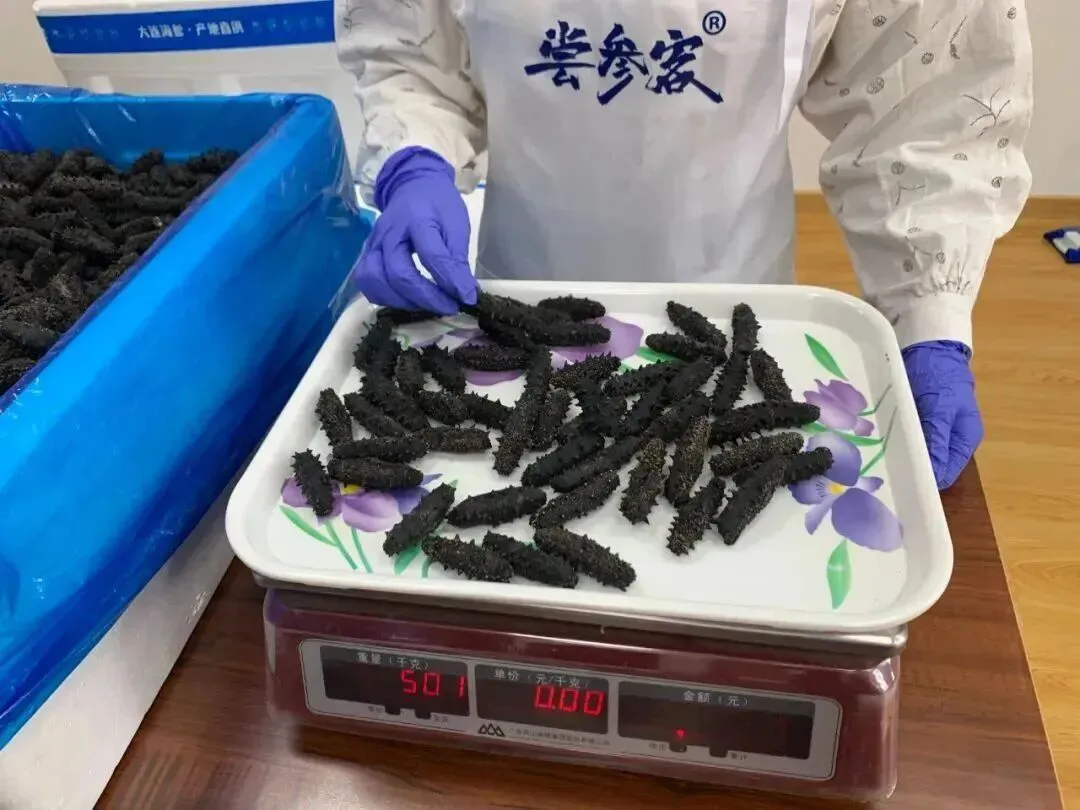 “海参市场”价格被打下来了,这个叫庞佳欣的妹子在全国火了!