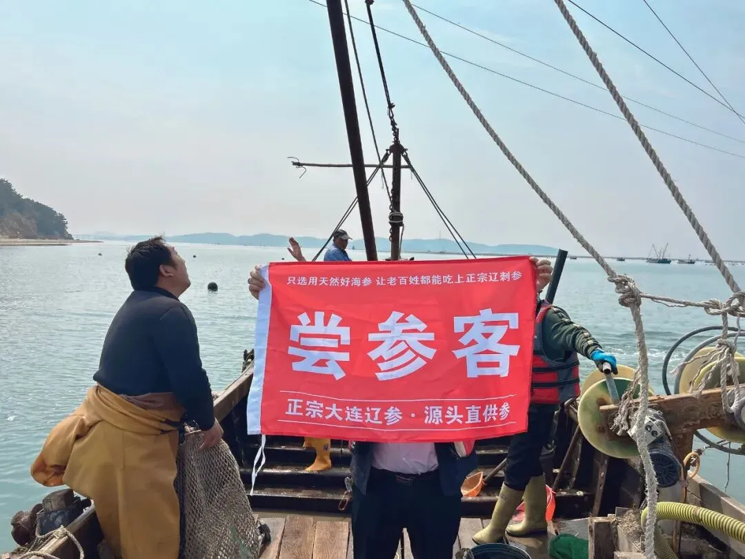 “海参市场”价格被打下来了,这个叫庞佳欣的妹子在全国火了!