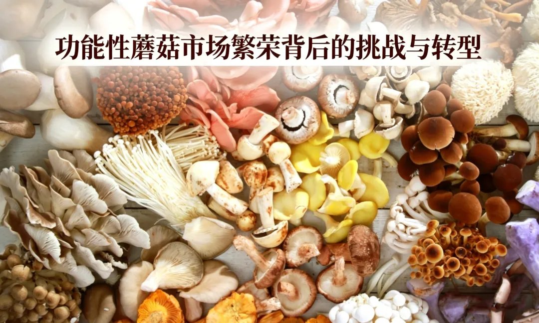 产业观察 | 功能性蘑菇市场繁荣与转型并行