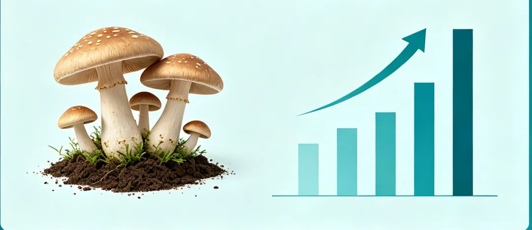 产业观察 | 功能性蘑菇市场繁荣与转型并行