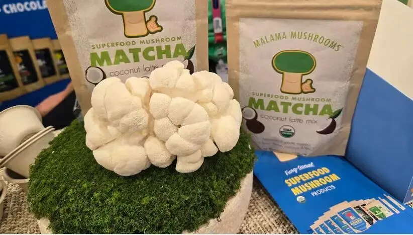 产业观察 | 功能性蘑菇市场繁荣与转型并行