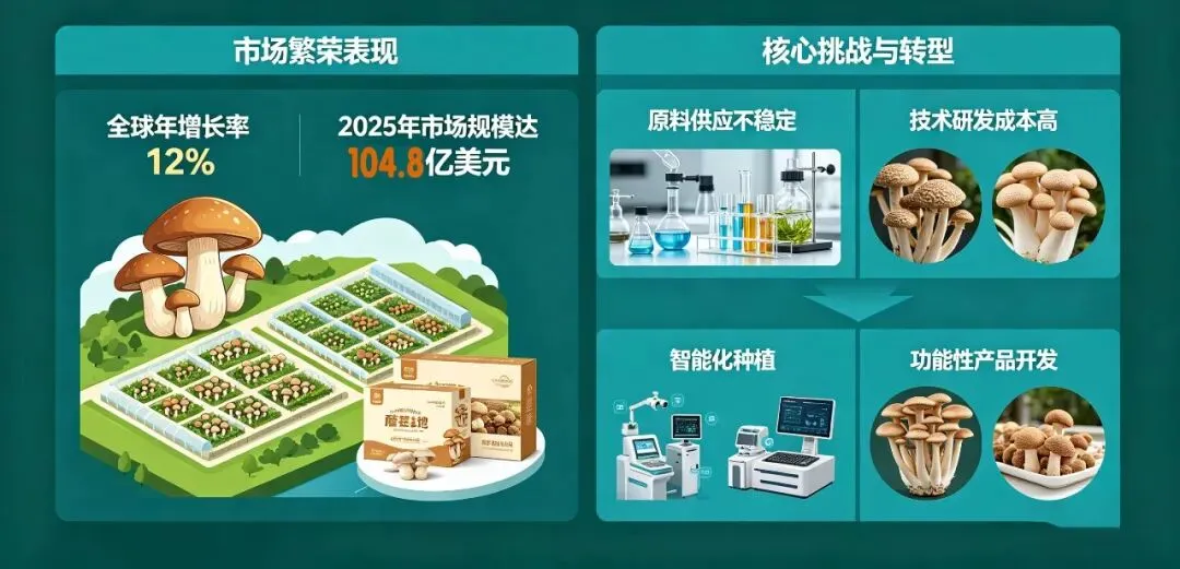 产业观察 | 功能性蘑菇市场繁荣与转型并行