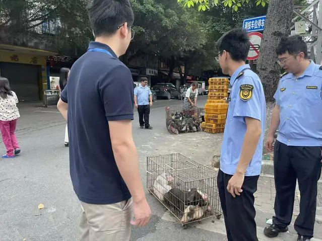 【城事】赤坭镇多部门联合开展市场周边市容环境整治行动