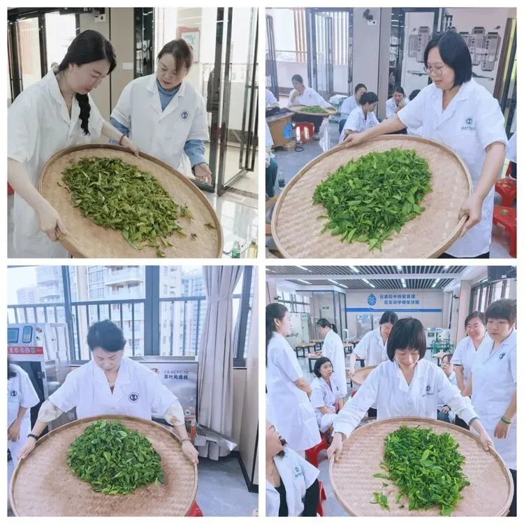 以茶润心·以技赋能|海南省中职茶艺与茶营销教师教学能力提升培训圆满举行
