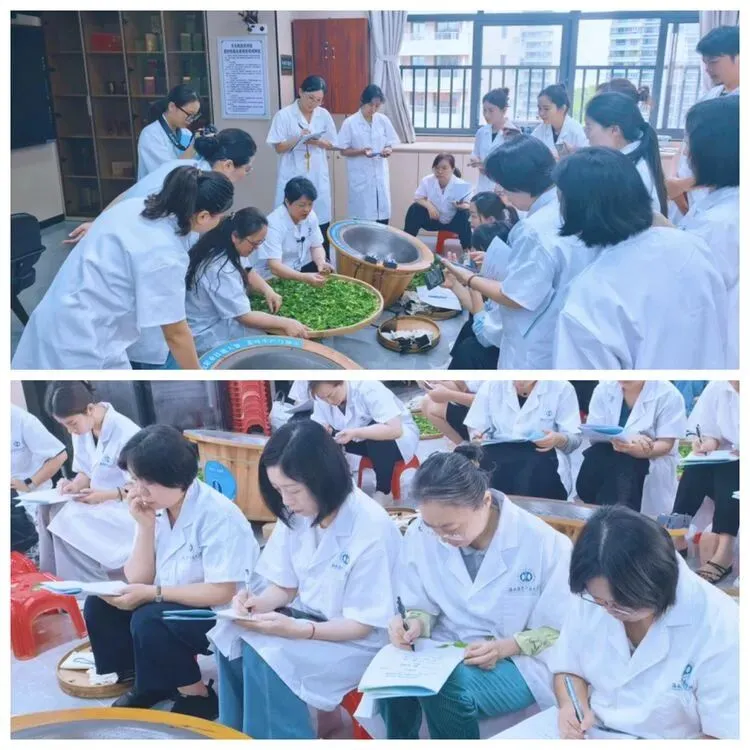 以茶润心·以技赋能|海南省中职茶艺与茶营销教师教学能力提升培训圆满举行