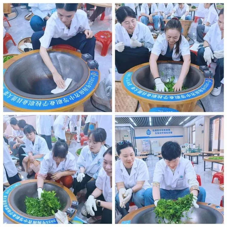 以茶润心·以技赋能|海南省中职茶艺与茶营销教师教学能力提升培训圆满举行