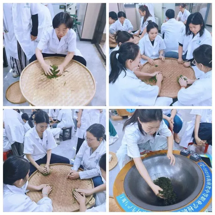 以茶润心·以技赋能|海南省中职茶艺与茶营销教师教学能力提升培训圆满举行
