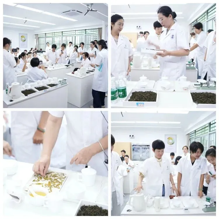 以茶润心·以技赋能|海南省中职茶艺与茶营销教师教学能力提升培训圆满举行