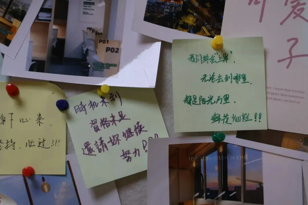 Real市场洞察 | 22岁不毕业:中国式“全职备考”正成为“后大学时期”常规人生